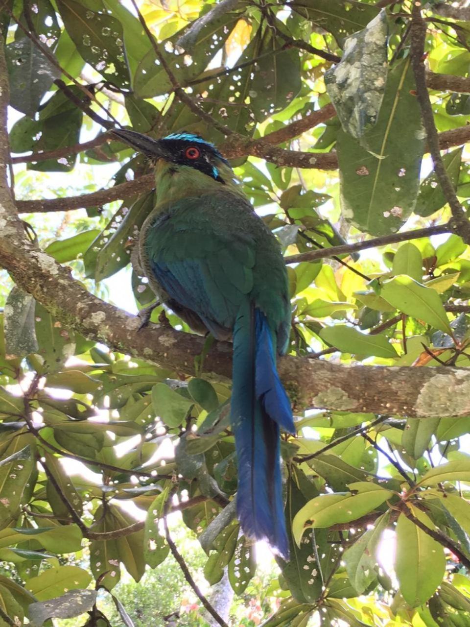 Concepcion La Serena Reserva Natural מראה חיצוני תמונה