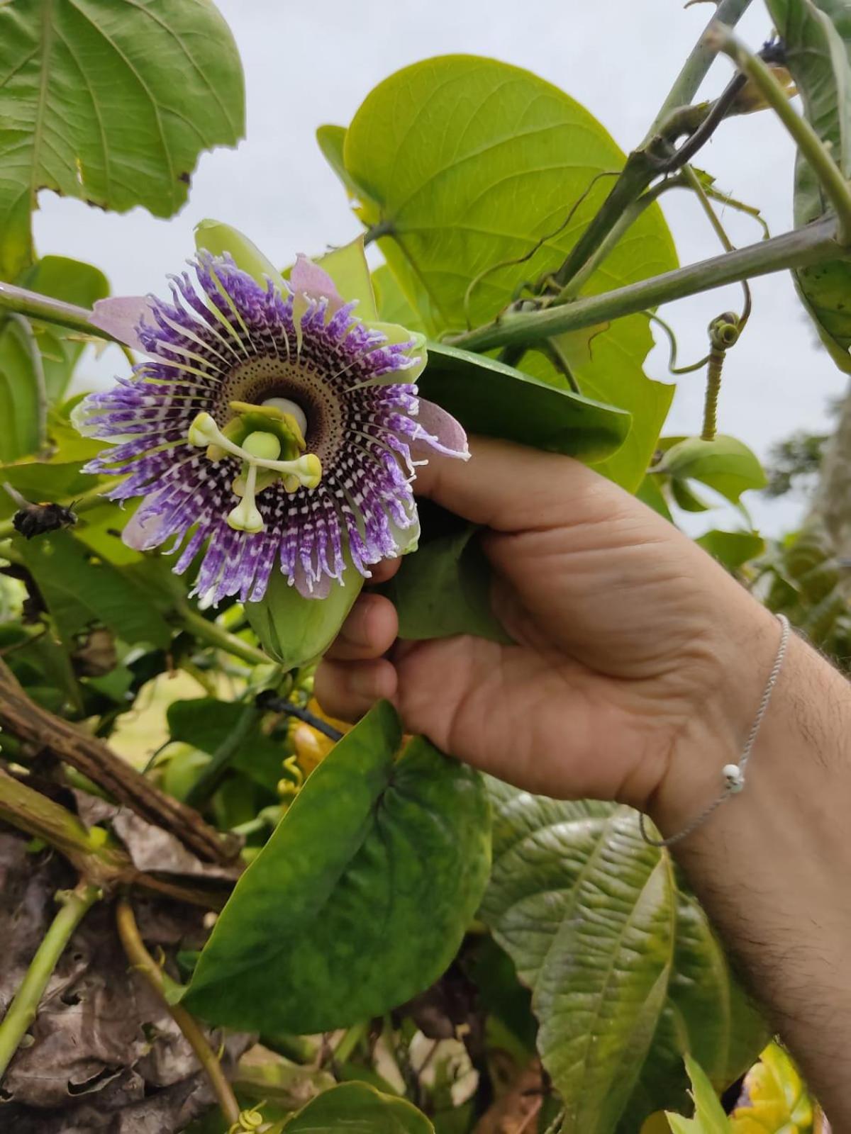 Concepcion La Serena Reserva Natural מראה חיצוני תמונה