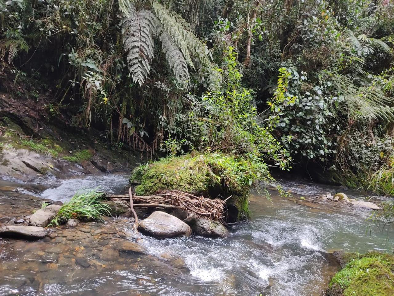 Concepcion La Serena Reserva Natural מראה חיצוני תמונה