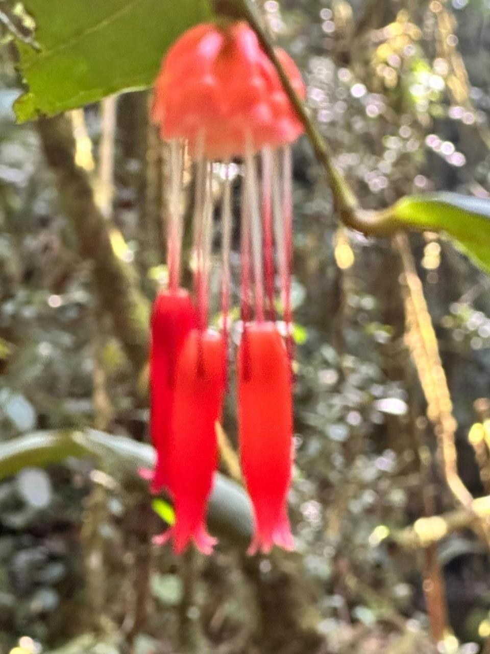 Concepcion La Serena Reserva Natural מראה חיצוני תמונה